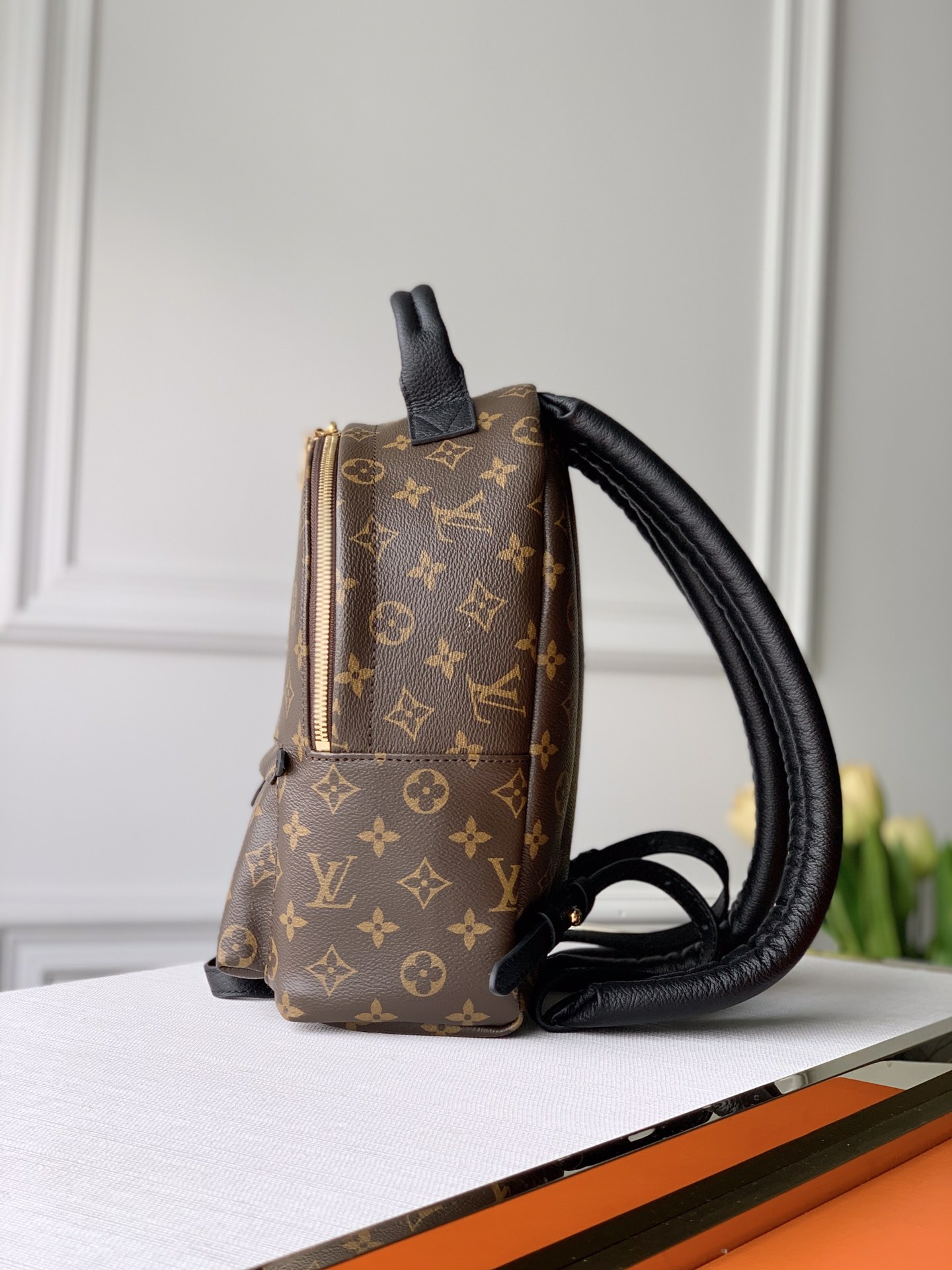 l0*is V*t0n backpack-m44871-22*19*10cm