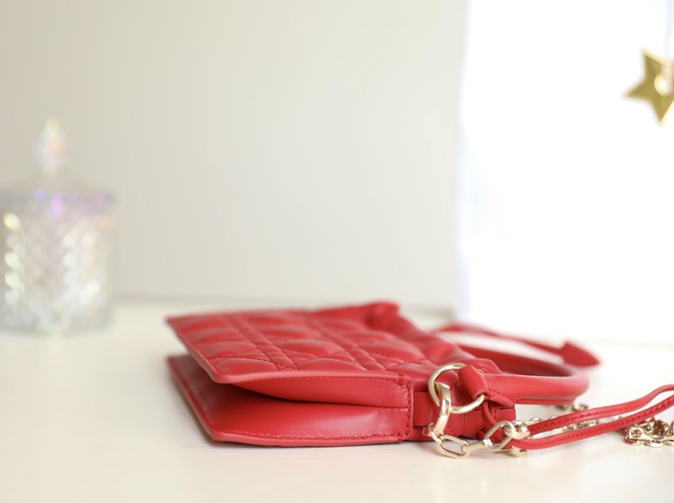 lady D*or bag-19 x 13 x 5cm
