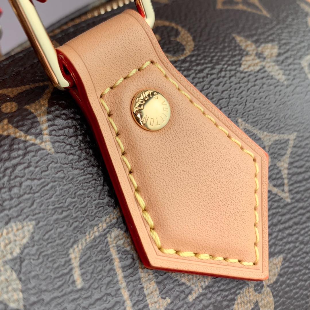 Louis Vuitton Speedy Soft 30 Boho Bag -21 x 17 x 30CM