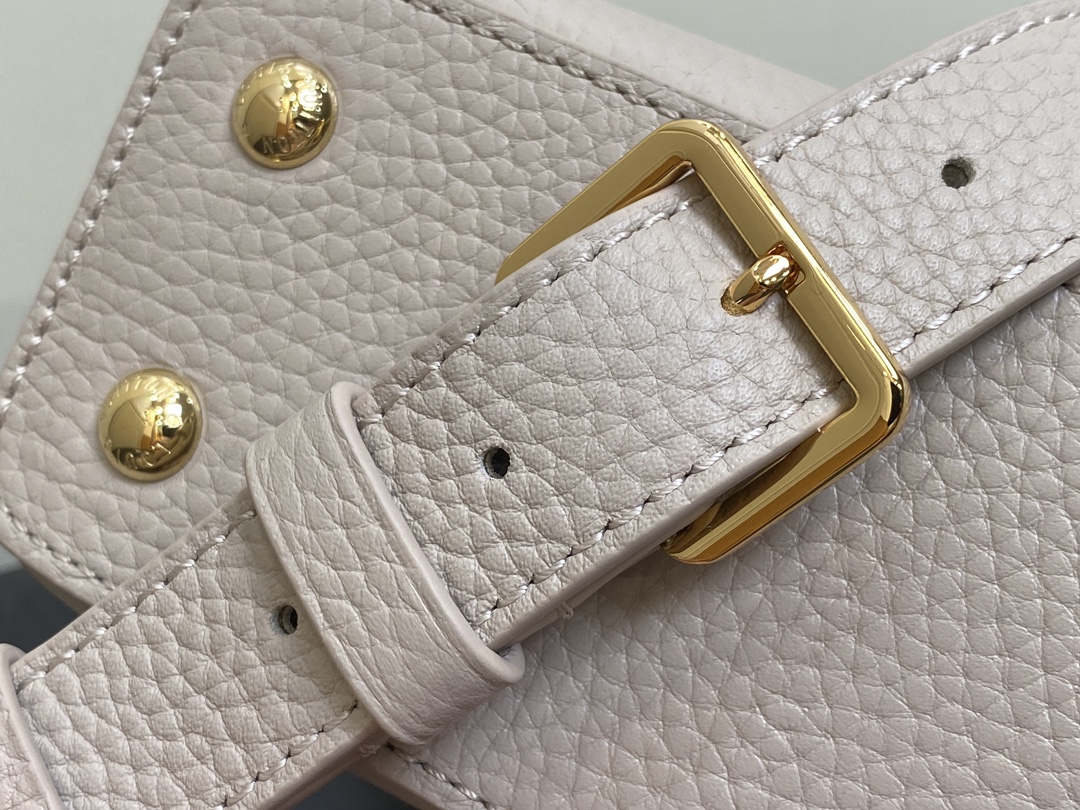Louis Vuitton Capucines Handlebag