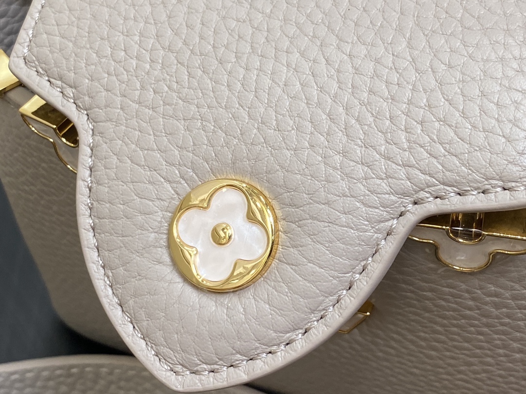 Louis Vuitton Capucines Handlebag