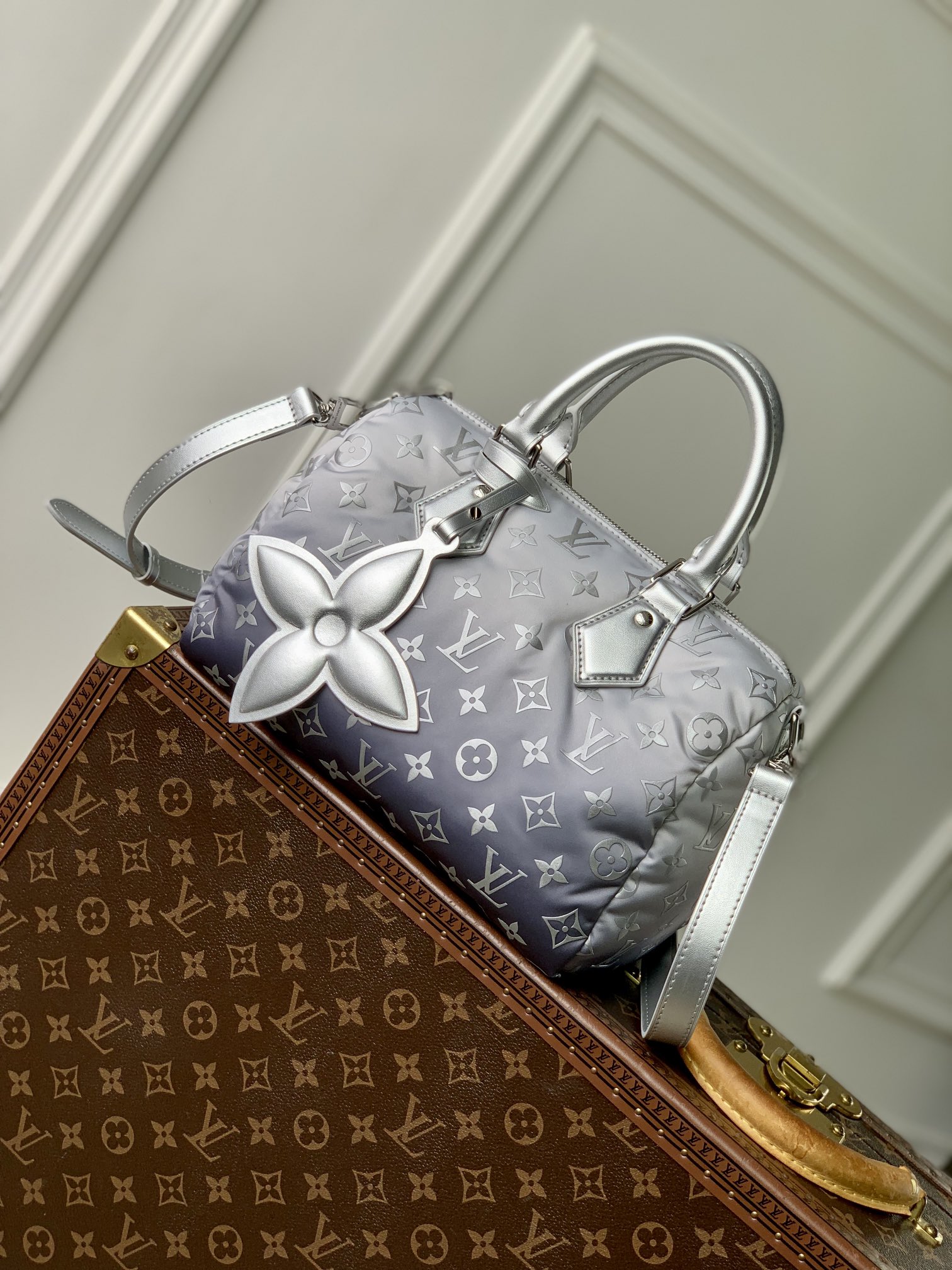 Louis Vuitton Speedy Bandoulière 25-19 x 15 x 25CM