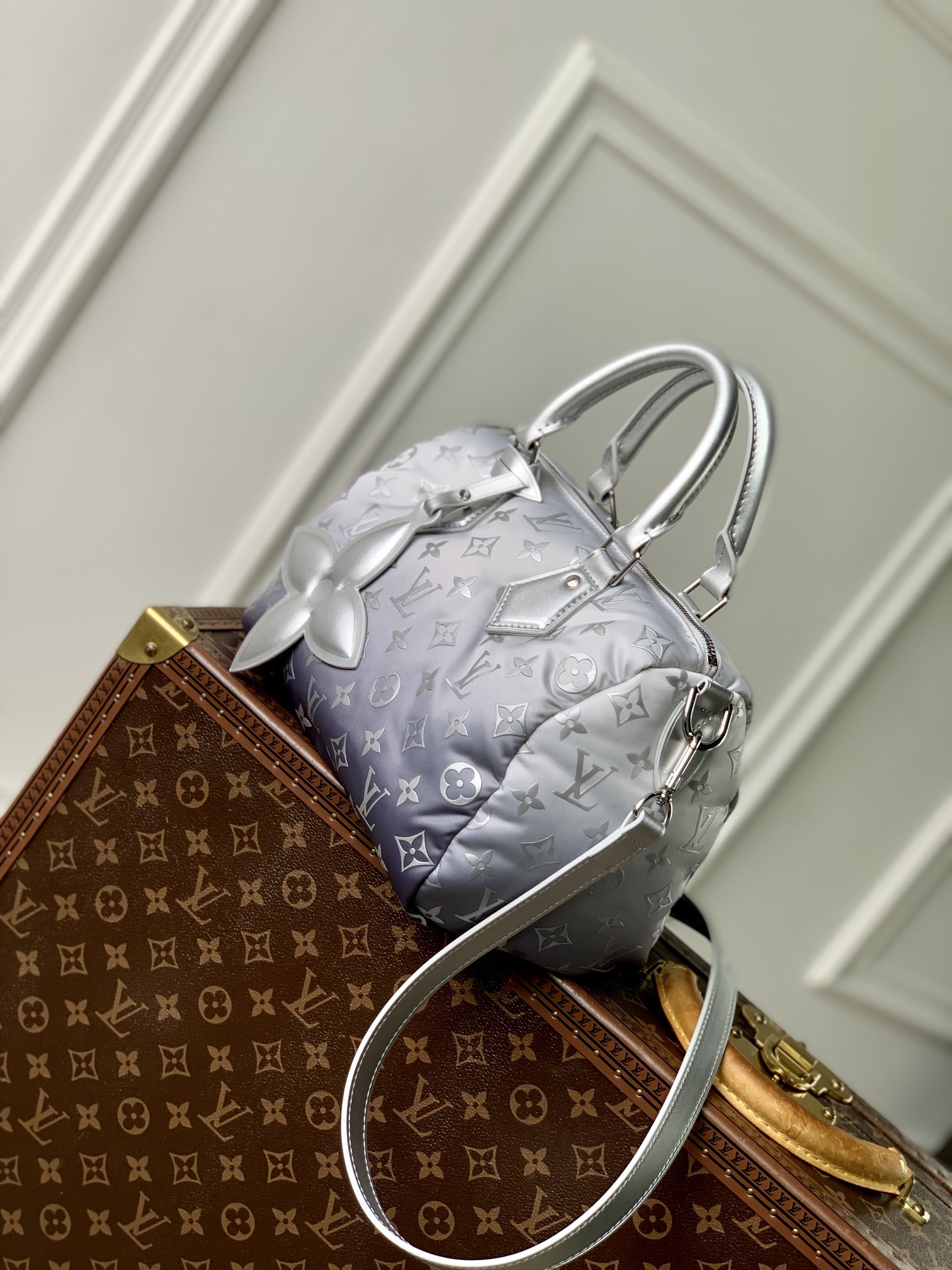 Louis Vuitton Speedy Bandoulière 25-19 x 15 x 25CM