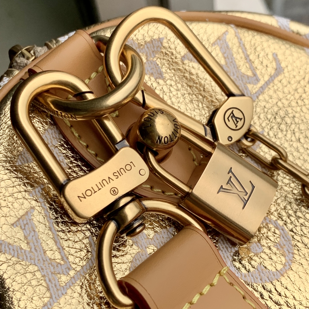 Louis Vuitton Speedy Bandoulière 25-25x 19 x 15CM