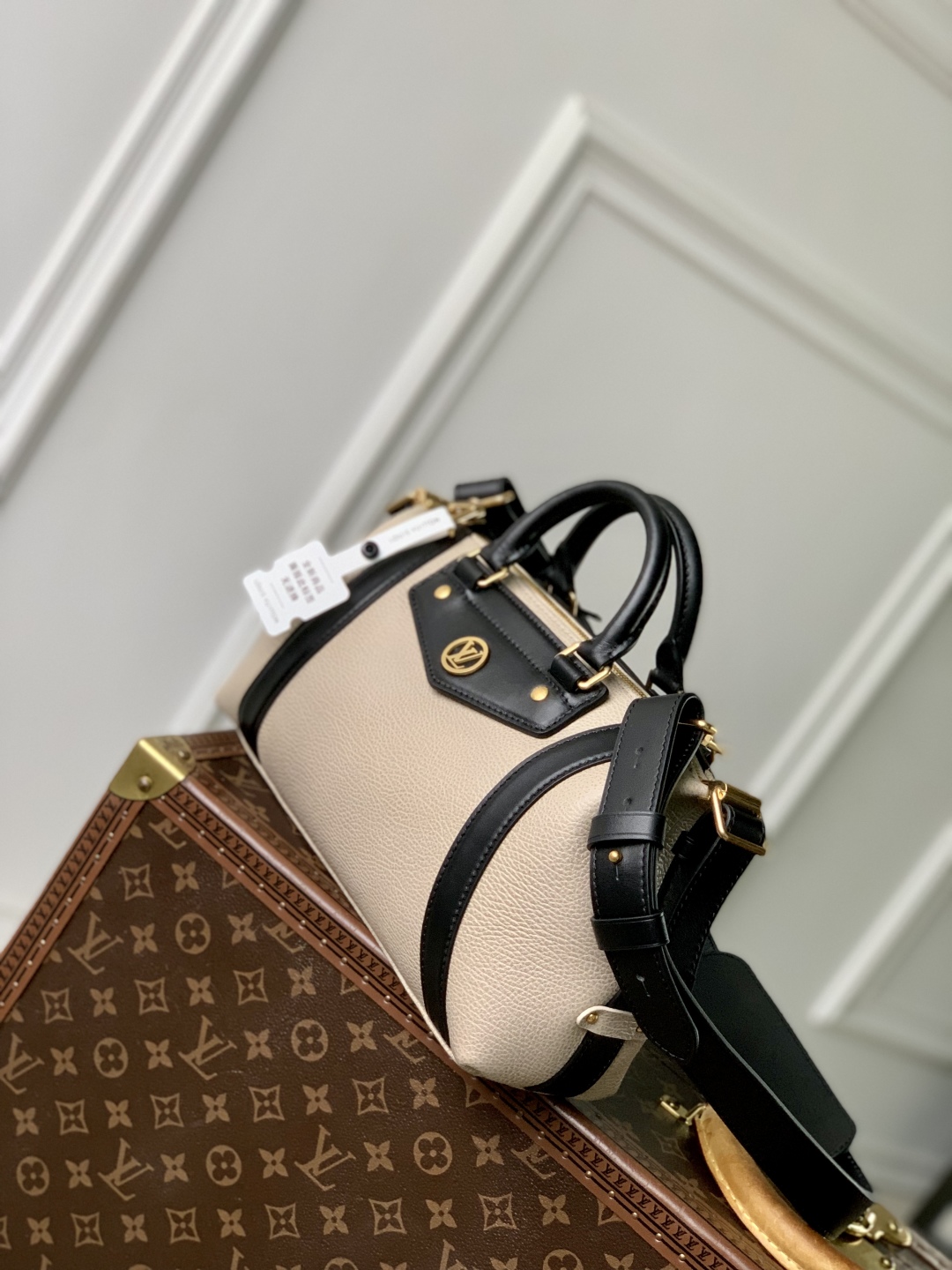 Louis Vuitton Biker Handbags-M14721-12 x 12 x 30CM