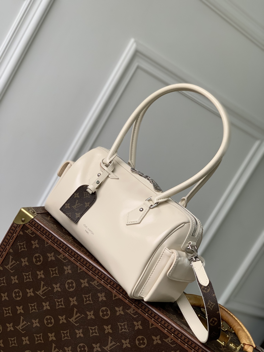 Louis Vuitton Speedy Cargo Vibe LV Vibe Handbags 17 x 12 x 28CM