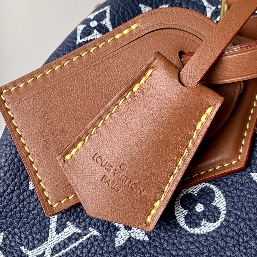 Louis Vuitton Speedy P9 Bandoulière 25-25x 19 x 15CM