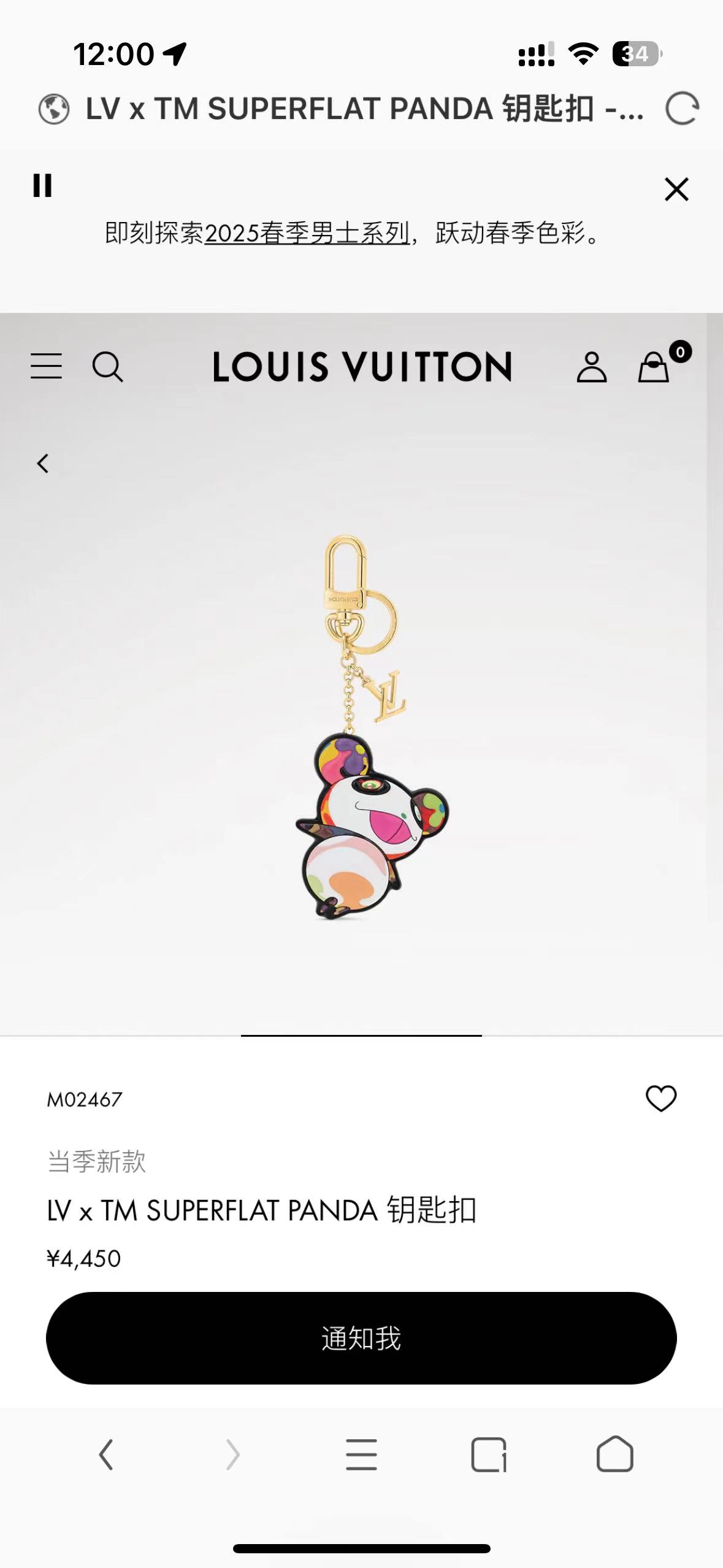 Louis Vuitton Bag Charm