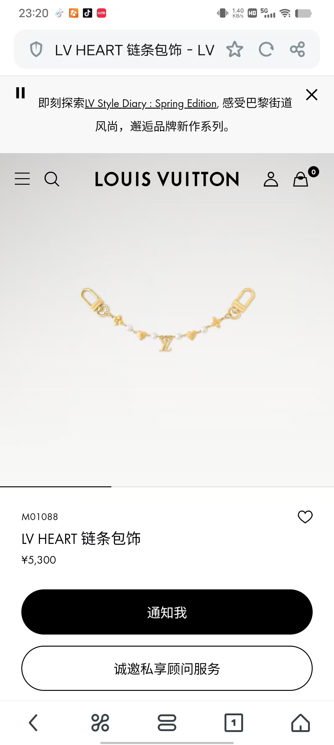 Louis Vuitton Bag Charm