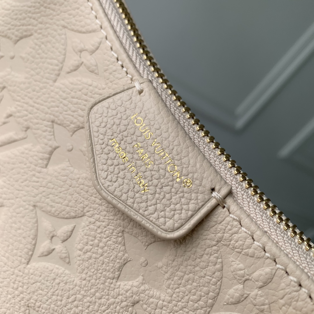Louis Vuitton Easy Pouch On Strap-19x11.5x3CM
