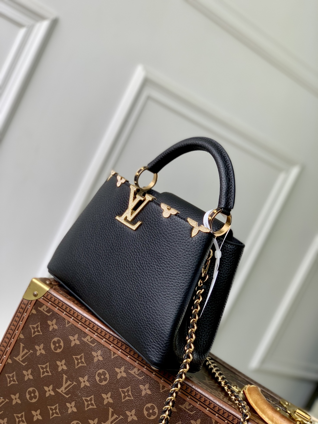 Louis Vuitton Capucines Handlebag
