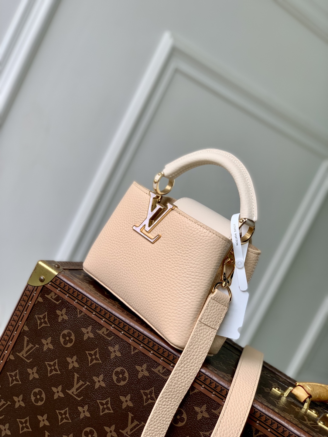 Louis Vuitton Mini Capucines Handlebag-21*14*8CM