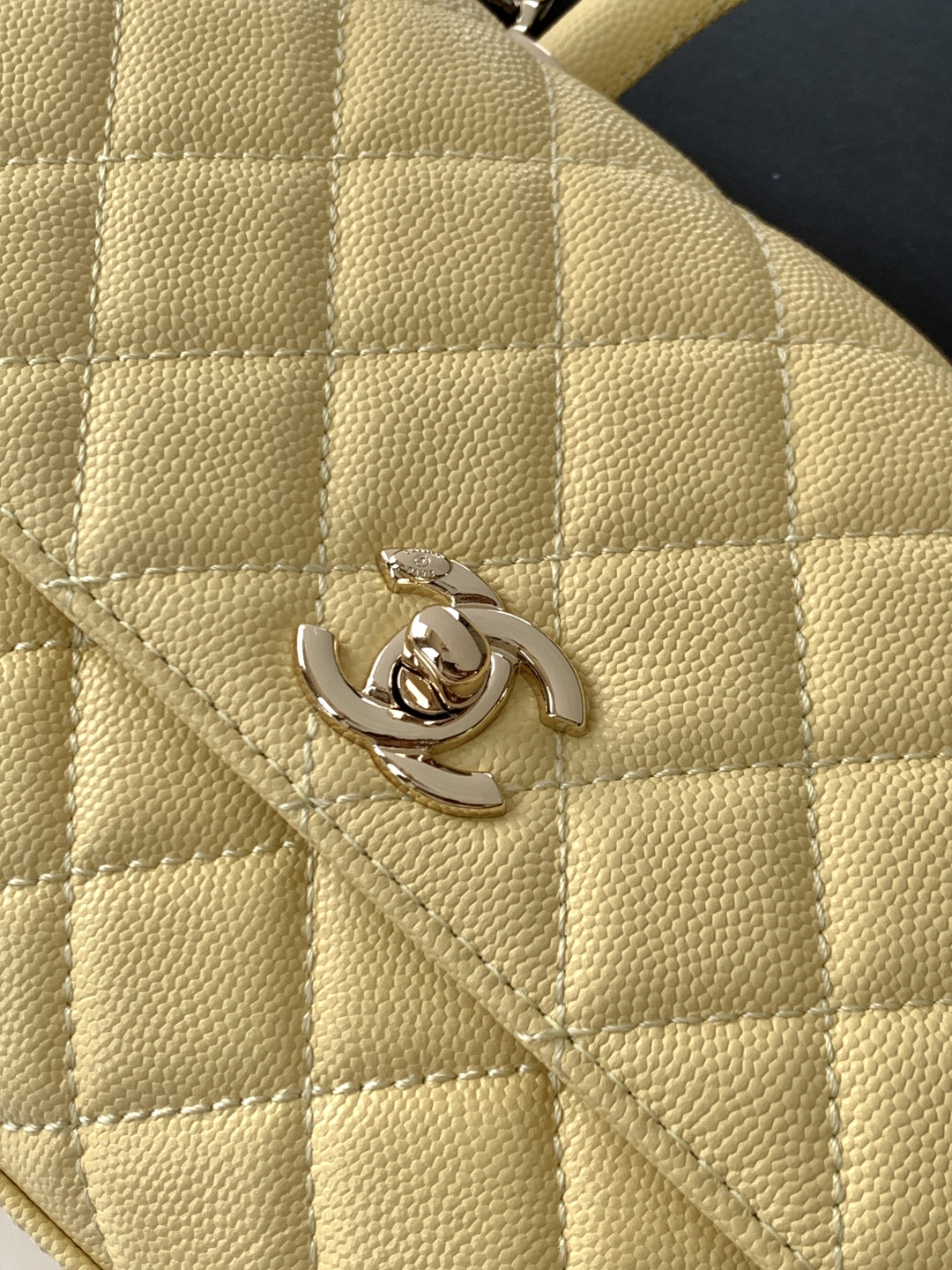 Ch@nel coco handle Flap Bag-24CM